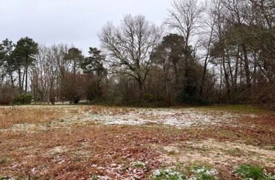 terrain  pièces 450 m2 à vendre à Targon (33760)