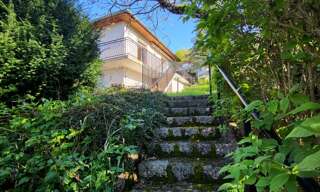 Photo N° 4