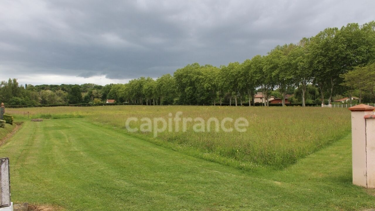 terrain  pièces 1820 m2 à vendre à Montesquieu-Volvestre (31310)