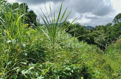 terrain  pièces 5303 m2 à vendre à Gros-Morne (97213)