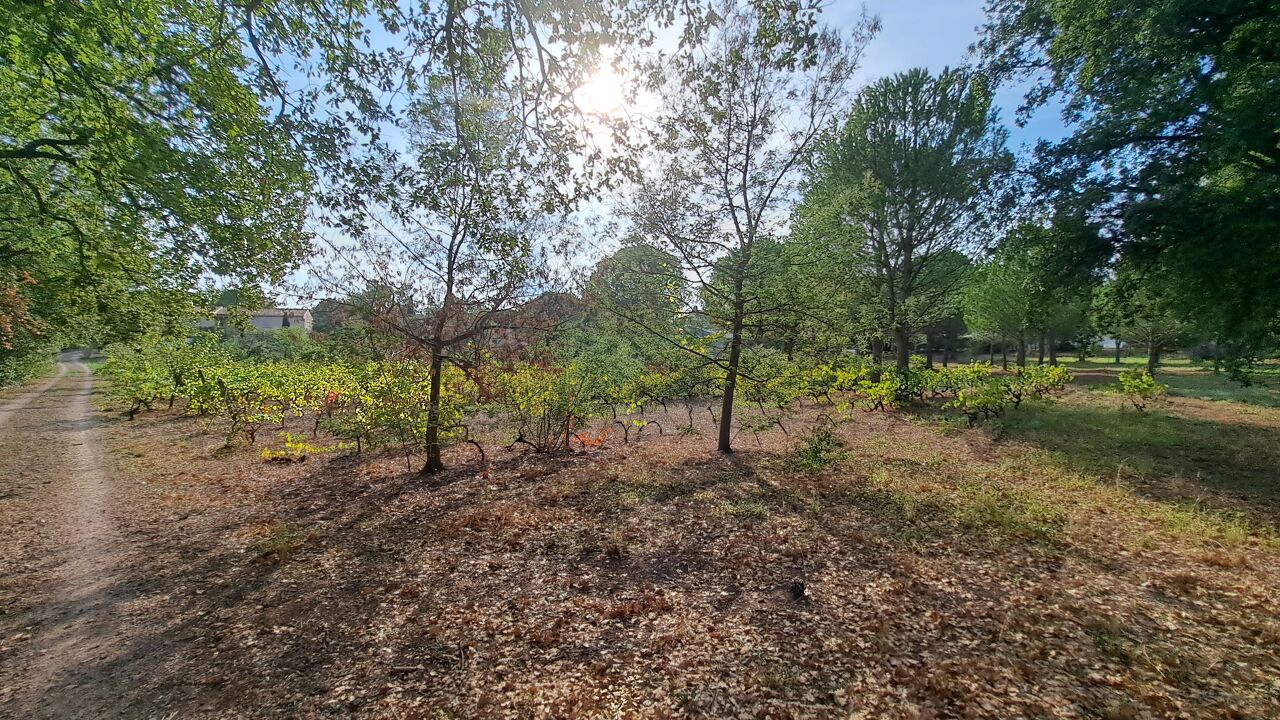 terrain  pièces 800 m2 à vendre à Puget-sur-Argens (83480)