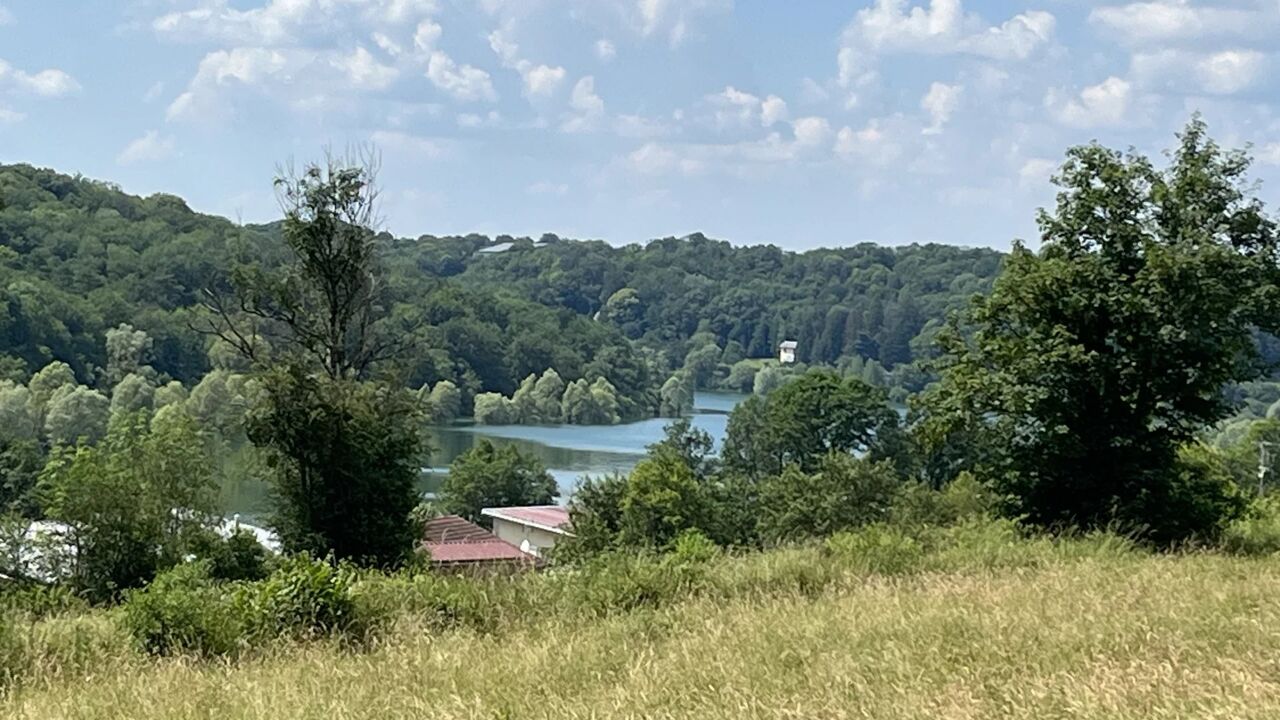 terrain  pièces 30000 m2 à vendre à Perrancey-les-Vieux-Moulins (52200)