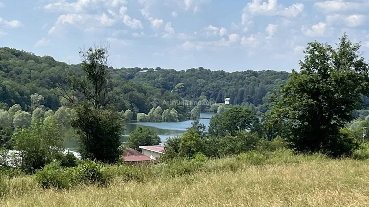 terrain  pièces 30000 m2 à vendre à Perrancey-les-Vieux-Moulins (52200)