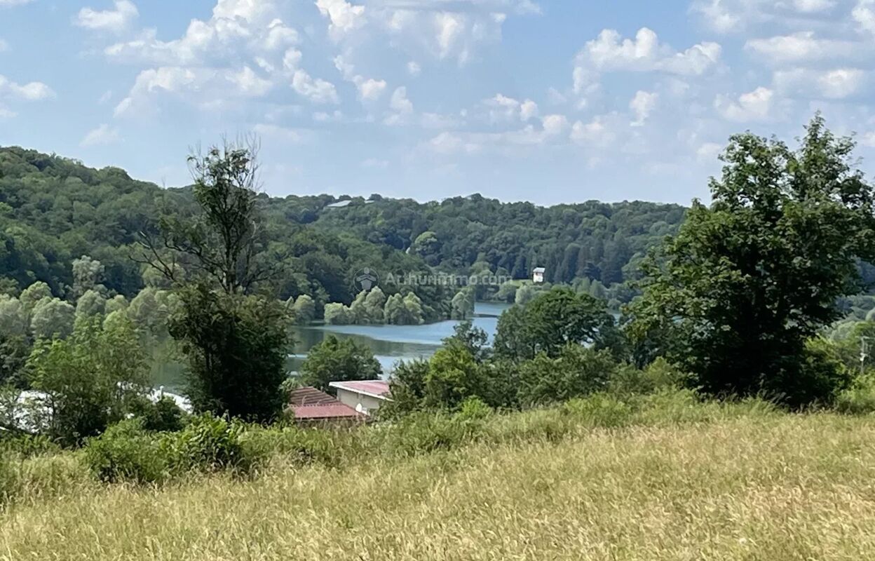 terrain  pièces 30000 m2 à vendre à Perrancey-les-Vieux-Moulins (52200)