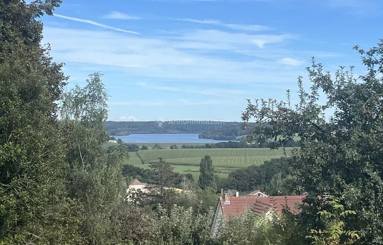 terrain  pièces 8588 m2 à vendre à Langres (52200)