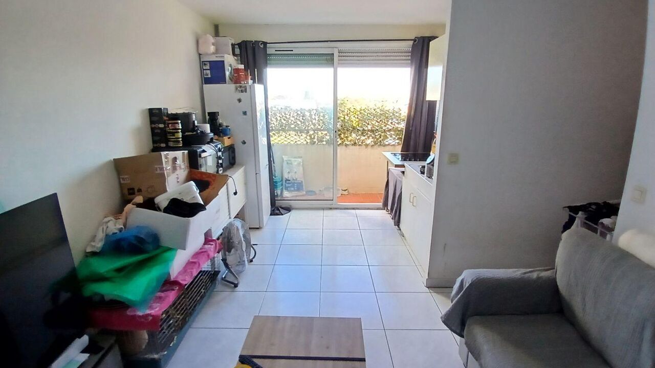 appartement 2 pièces 29 m2 à louer à Frontignan (34110)