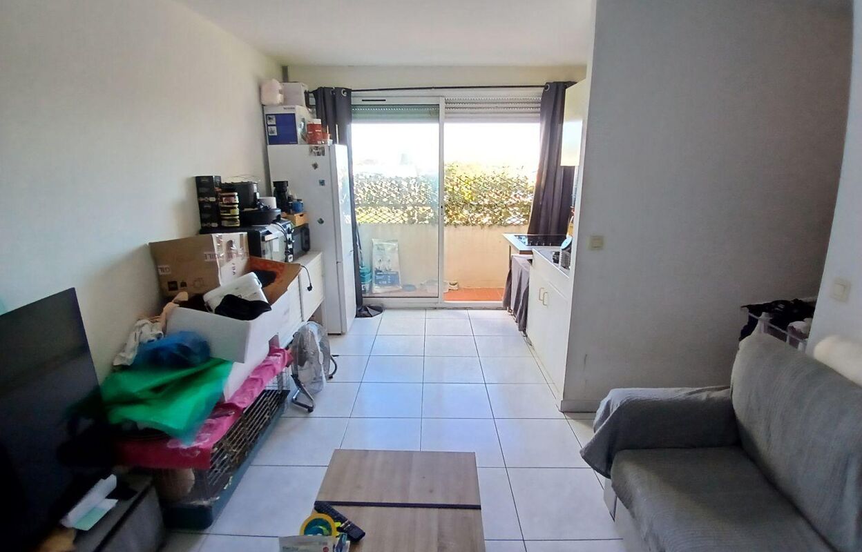 appartement 2 pièces 29 m2 à louer à Frontignan (34110)