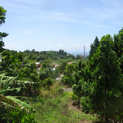 Terrain 1250 m²