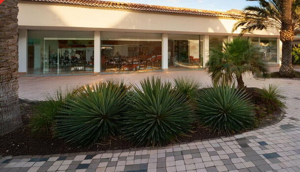 Local commercial  à vendre Baillargues 34670