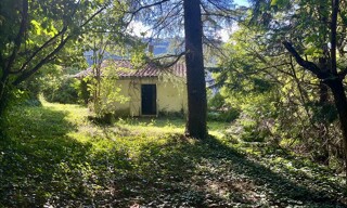 Photo N° 6