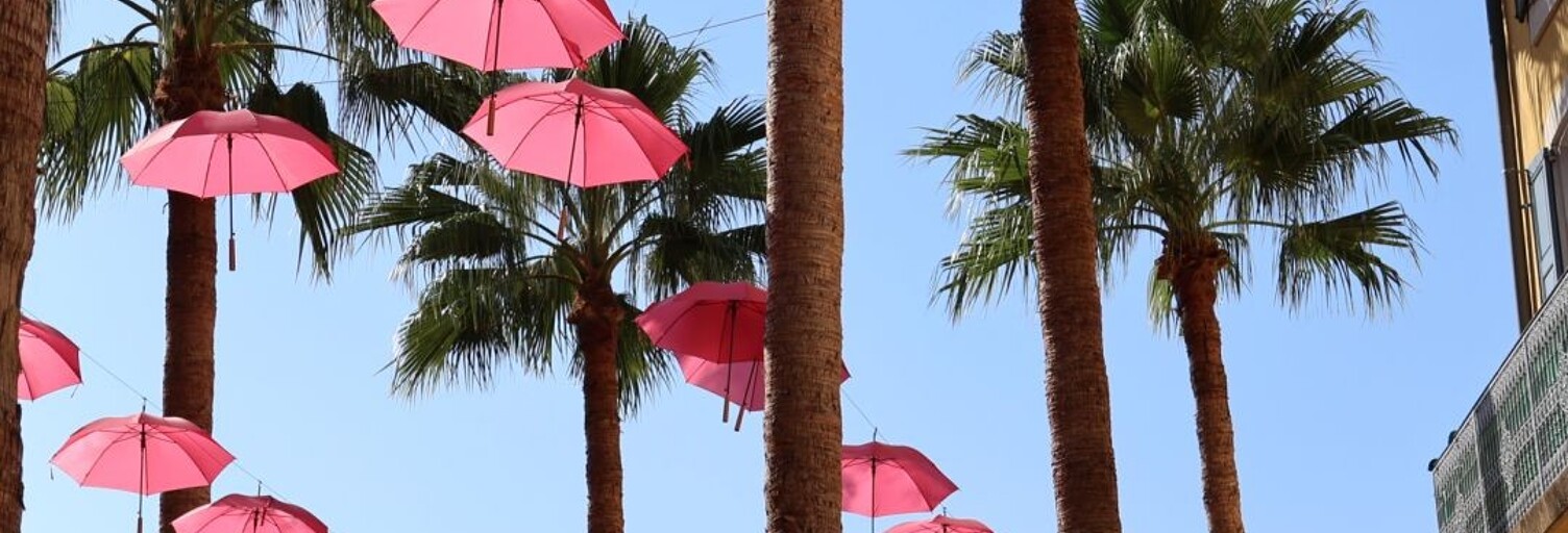 Commerce  55 m² à vendre à Grasse (06130)