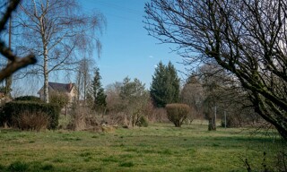 Photo N° 5