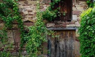 Maison 10 Pièces 287 m² à vendre à Saulnot (70400)