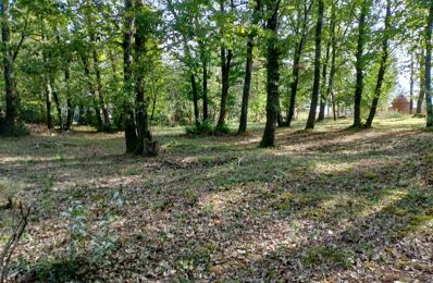 vente terrain 32 000 € à proximité de Saint-Pardoux-de-Drône (24600)