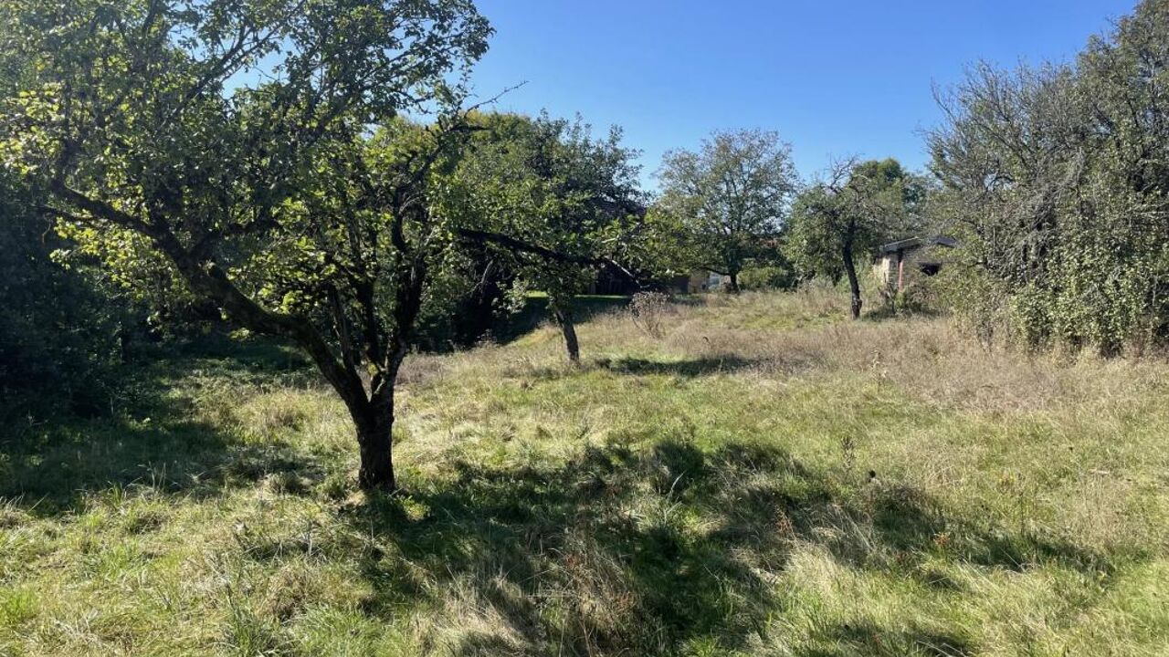 terrain  pièces 1994 m2 à vendre à Chenecey-Buillon (25440)