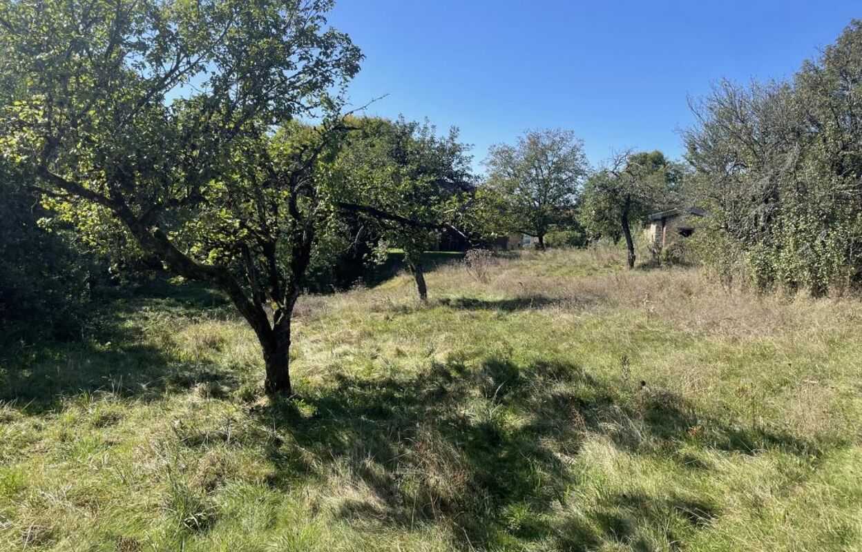 terrain  pièces 1994 m2 à vendre à Chenecey-Buillon (25440)