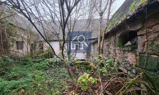 Photo N° 4