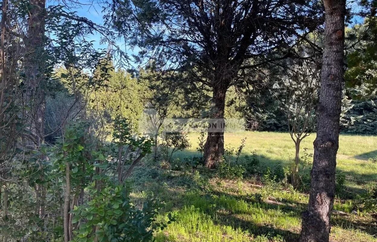 terrain  pièces 926 m2 à vendre à Fontvieille (13990)