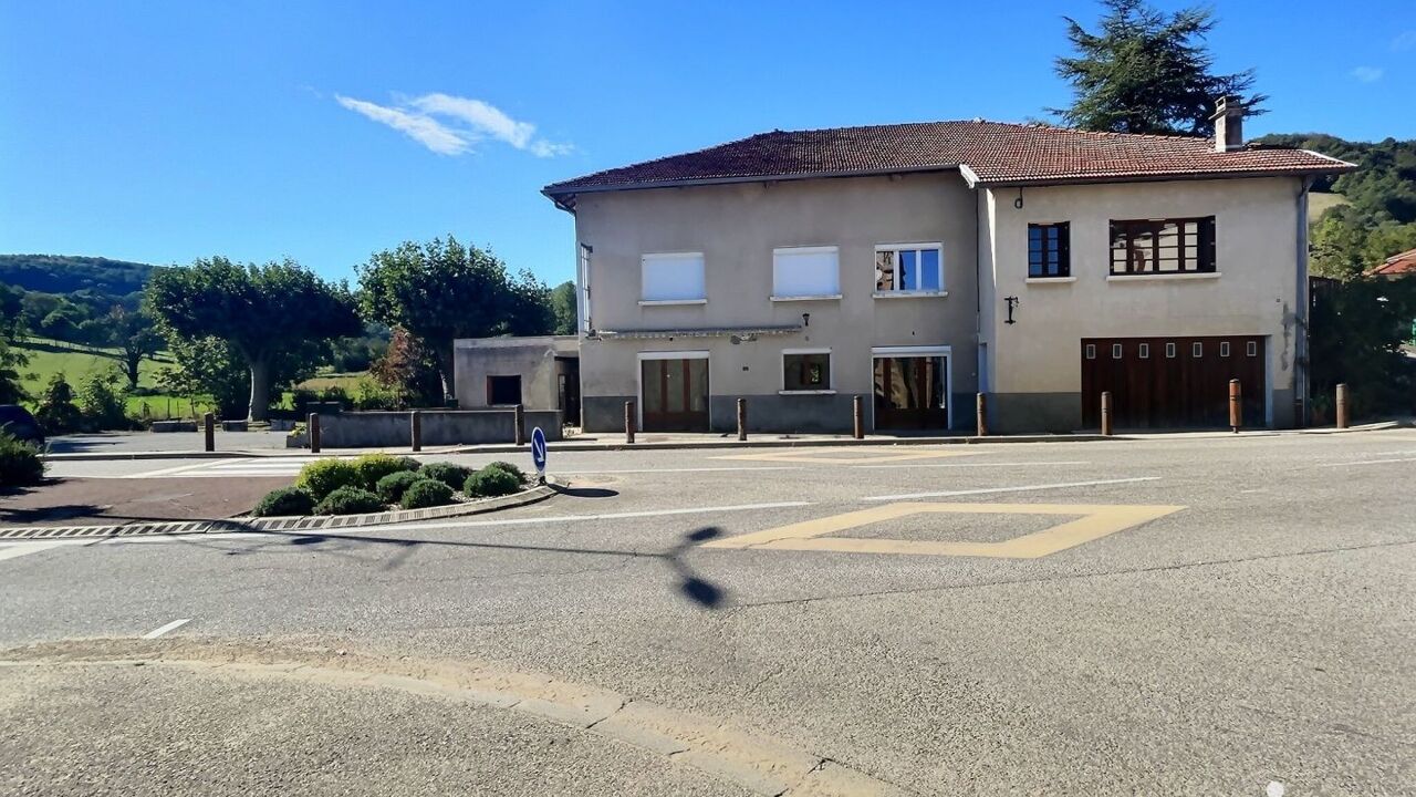 immeuble  pièces 300 m2 à vendre à Chasselay (38470)