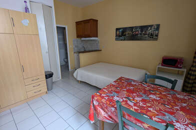 Appartement 1 pièces 375 €
