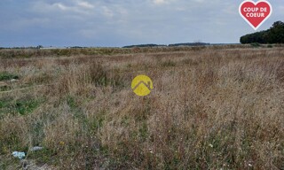 Photo N° 4