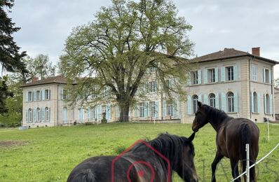 vente maison 2 950 000 € à proximité de Saint-André-le-Puy (42210)