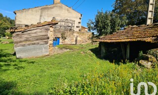 Photo N° 3