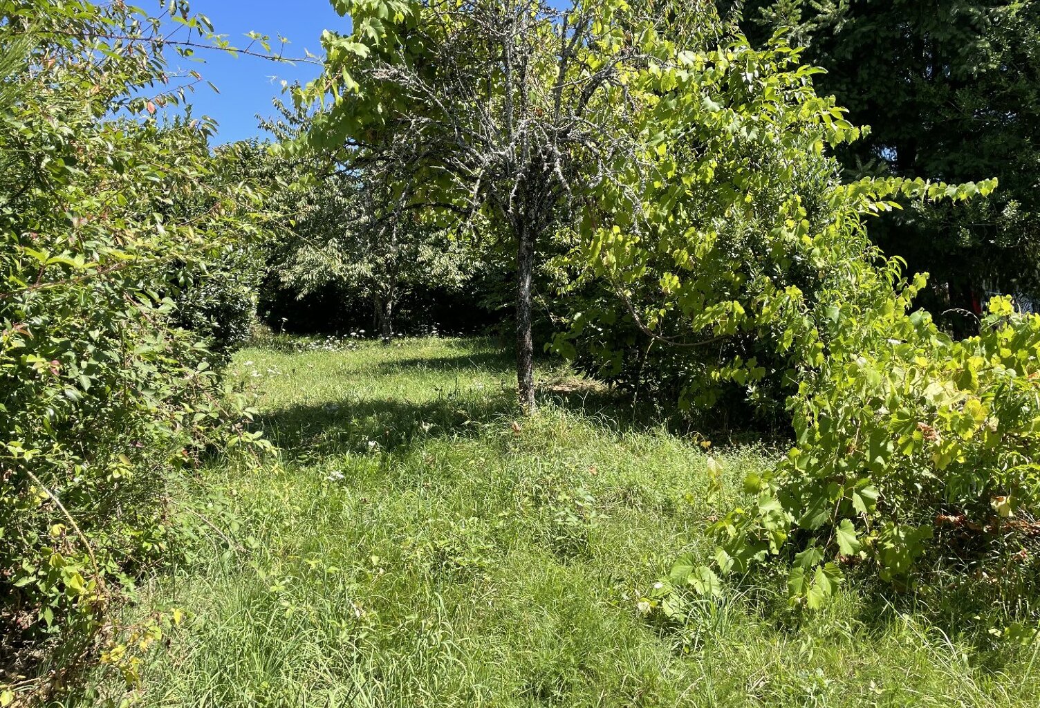 Terrain constructible — photo 1
