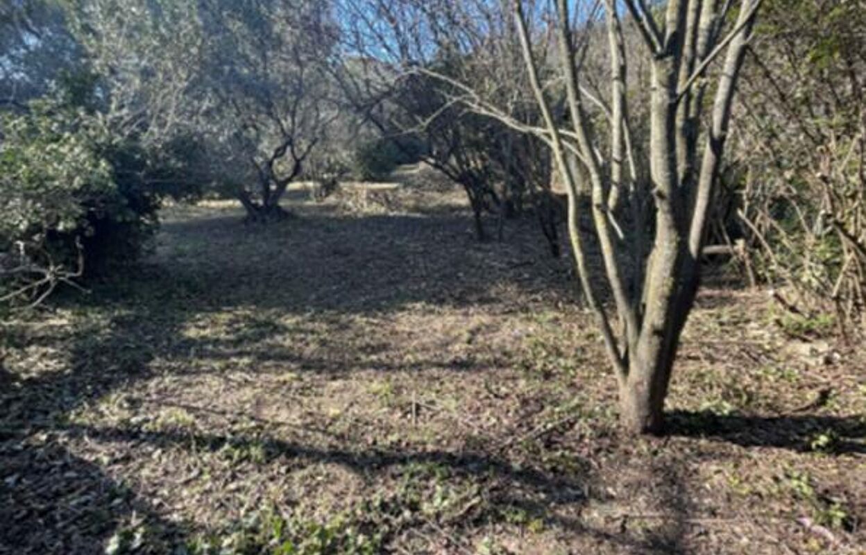 terrain  pièces 304 m2 à vendre à Nîmes (30000)