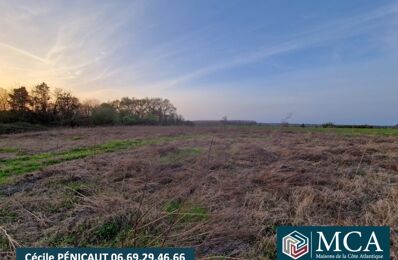 terrain  pièces 520 m2 à vendre à Préchacq-les-Bains (40465)