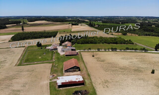 Photo N° 3