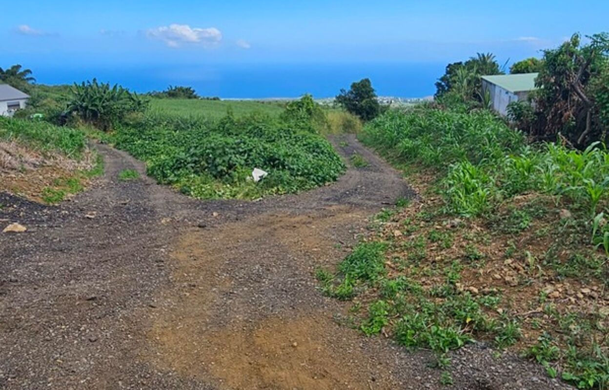 terrain  pièces 1605 m2 à vendre à Saint-Paul (97434)