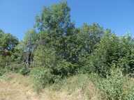 EXCLUSIVITÉ ! Terrain constructible au calme — photo 4