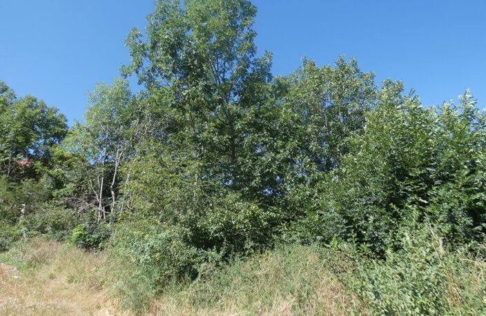 EXCLUSIVITÉ ! Terrain constructible au calme — photo 4