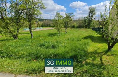 vente terrain 62 000 € à proximité de Hallering (57690)