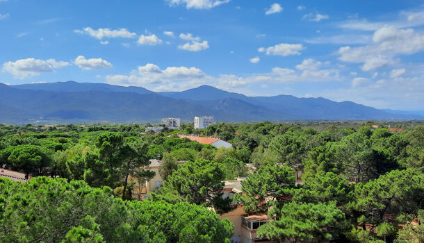 Appartement 1 pièces  à vendre Argelès-sur-Mer 66700