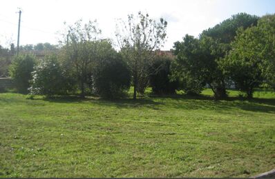 terrain  pièces 331 m2 à vendre à Balizac (33730)