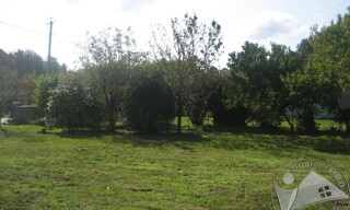 Photo N° 3