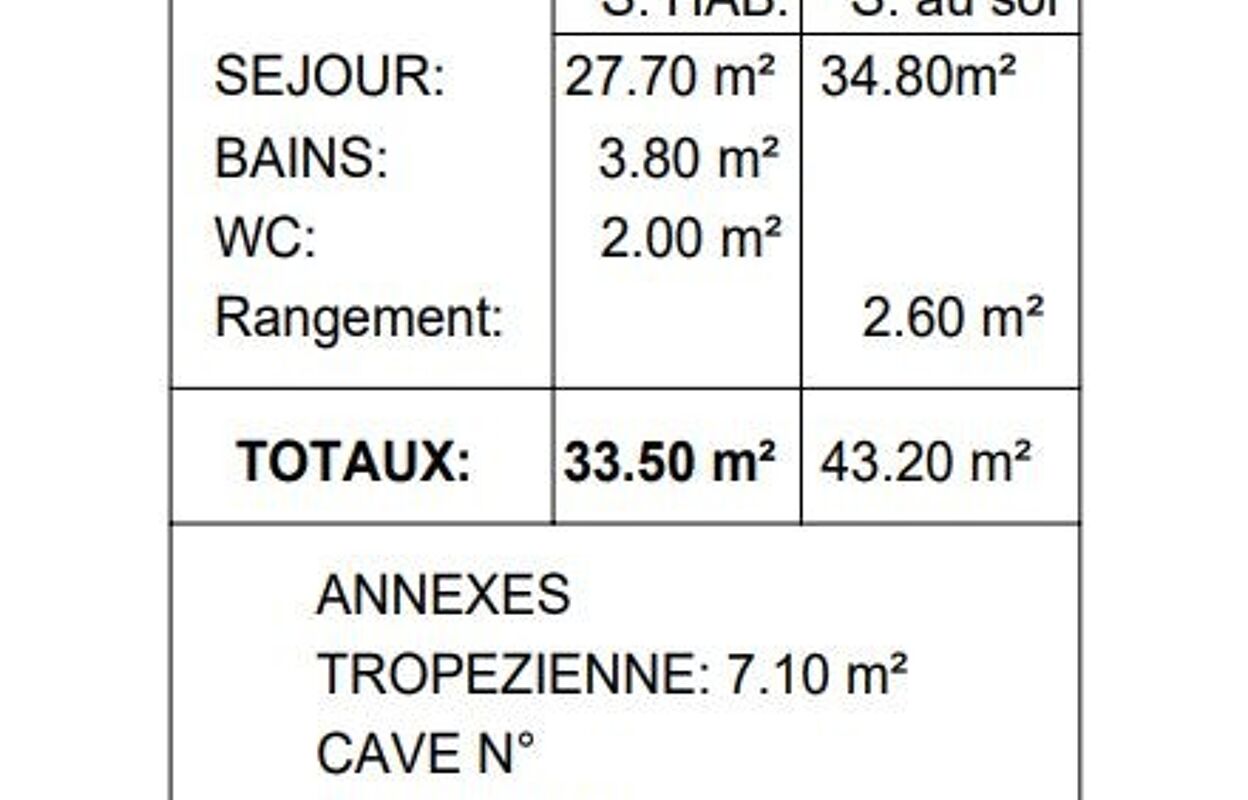 appartement 1 pièces 33 m2 à vendre à Feurs (42110)