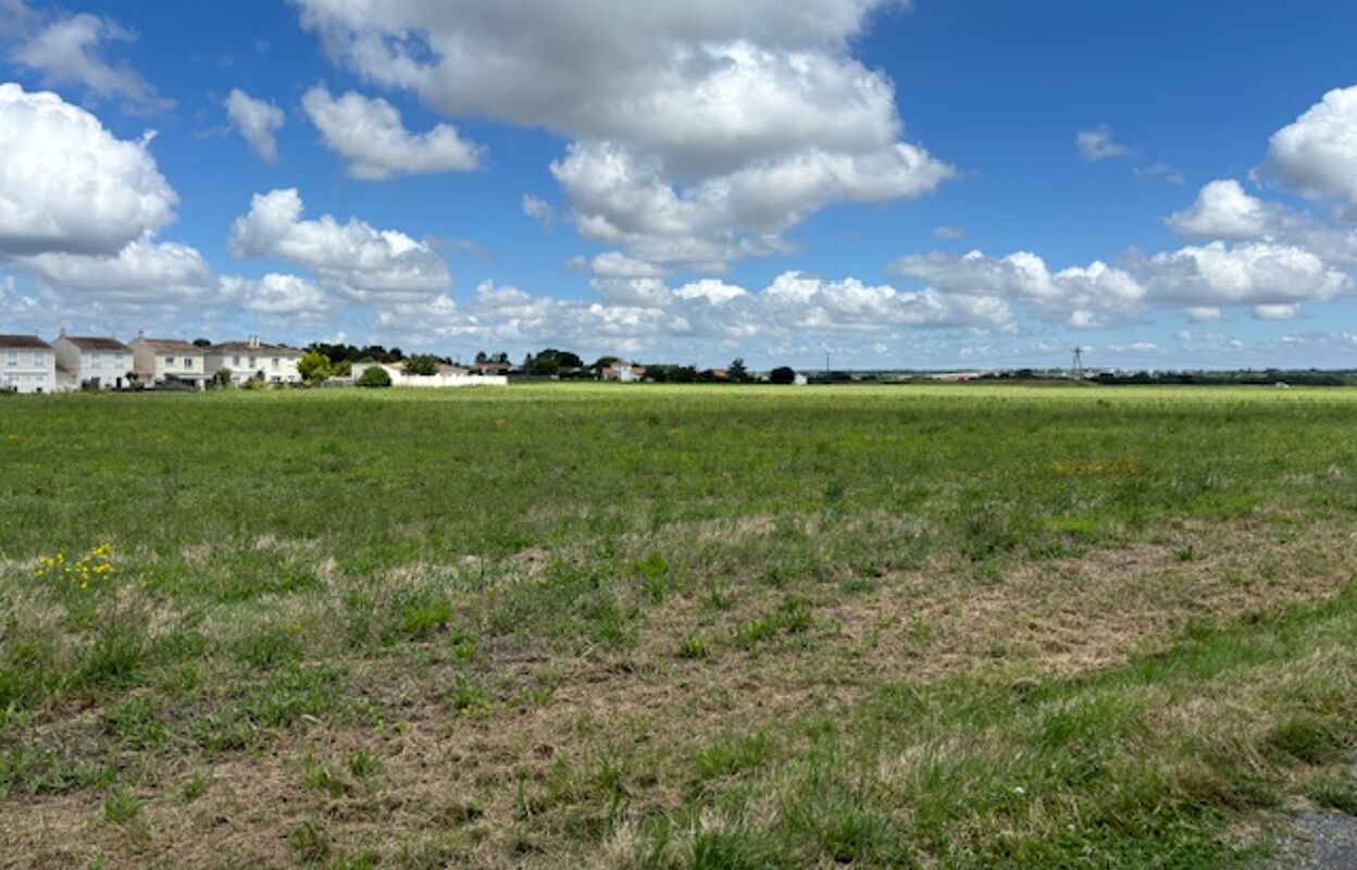 terrain 379 m2 à construire à Saint-Georges-de-Didonne (17110)