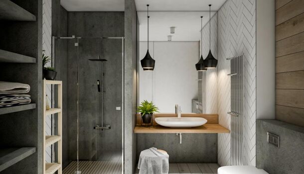 Appartement 5 pièces  à vendre Lyon 7eme 69007