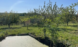 Photo N° 3