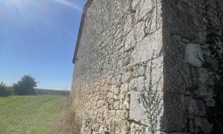 Photo N° 6