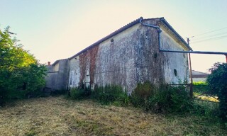 Photo N° 13