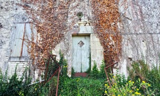 Photo N° 3