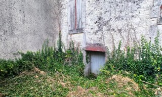 Photo N° 4