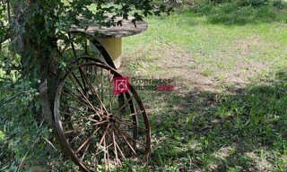 Photo N° 6