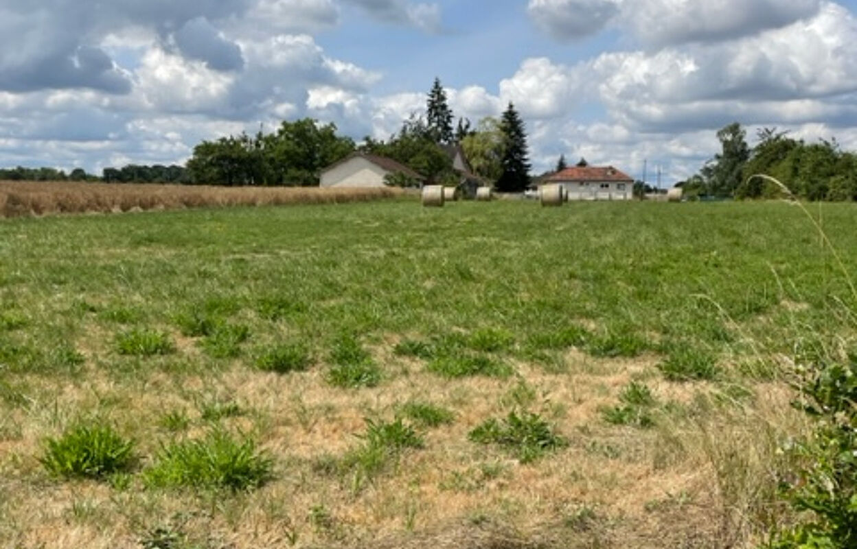 terrain  pièces 2000 m2 à vendre à Beaulieu-sur-Loire (45630)