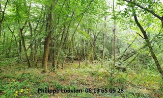 Photo N° 3
