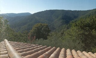Photo N° 8